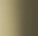 Light Bronze