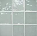 Aloe Green