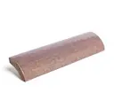 Fossil
