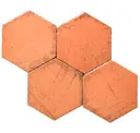 Cantaloupe