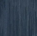 Echo