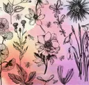 Bees On Soft Magenta