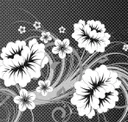 Black & White