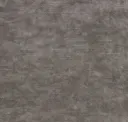 Bone