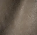 Dove