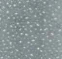 Blue Star
