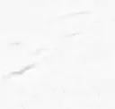 Carrara