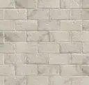 Dove Gray