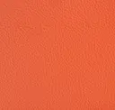 Sahara