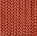 Corallo
