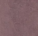 Prugna