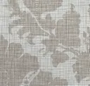 Stone Canvas