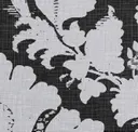 Inky Cloud