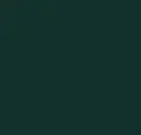 Evergreen