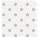 Dove Gray