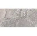 Silver Grey