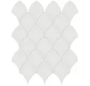 Seashell