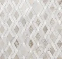 Champagne Beige