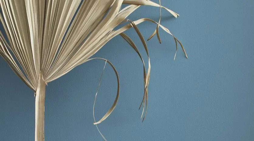 Install_01