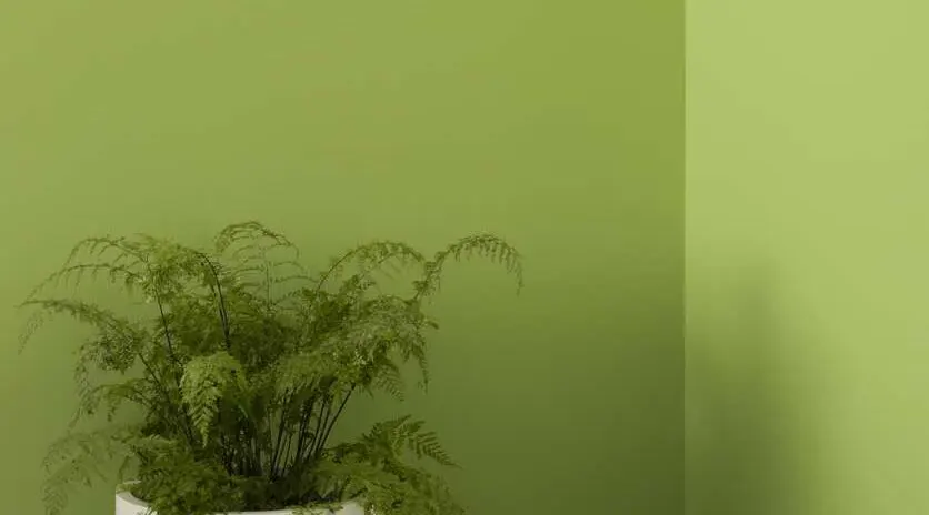 Install_01