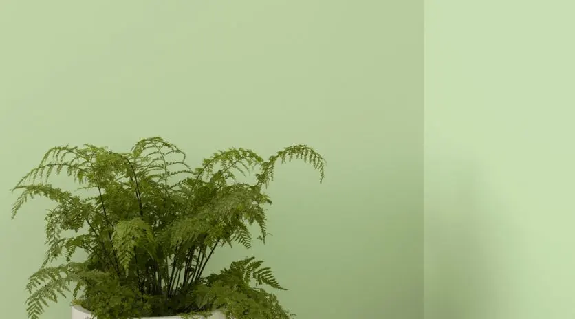 Install_01