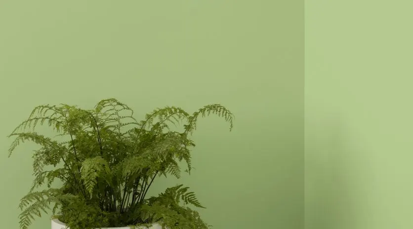 Install_01