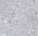 Lunar Rock