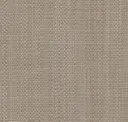 Elevated Taupe