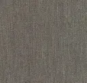 Nebelung Grey