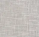 Silver Birch