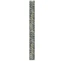Ivy Speckled 425
