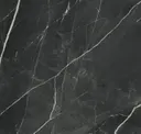 Calacatta Black