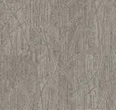 Oat