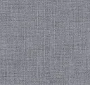 Grey Fox