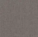 Iron