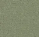 Spruce