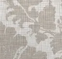 Stone Canvas
