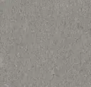 Currency Semi-Polished