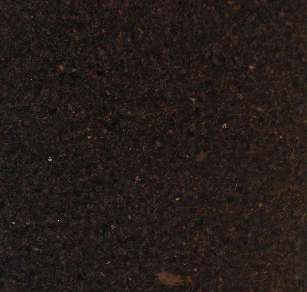Main
