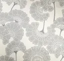 Dusty Miller