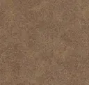 Medium