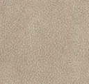 Medium Gray
