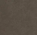 Dark