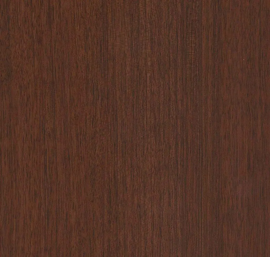 Main