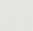 Plaster