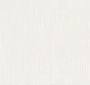 White/white