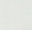 White/white