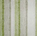 Fern