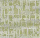 Fern