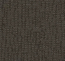 Orkney Taupe